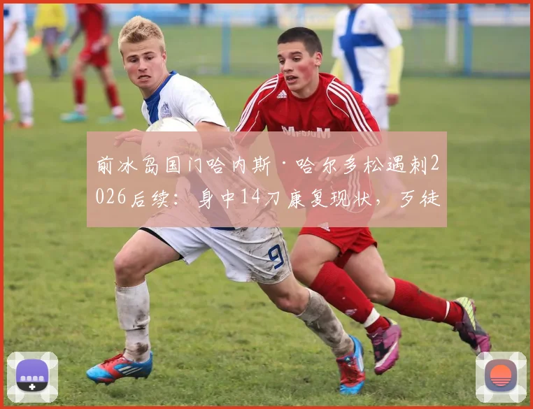 前冰岛国门哈内斯·哈尔多松遇刺2026后续：身中14刀康复现状，歹徒抓捕进展与运动员安全警示
