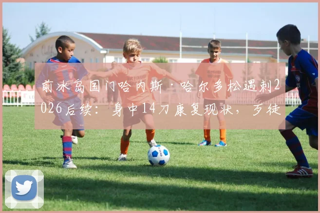 前冰岛国门哈内斯·哈尔多松遇刺2026后续：身中14刀康复现状，歹徒抓捕进展与运动员安全警示